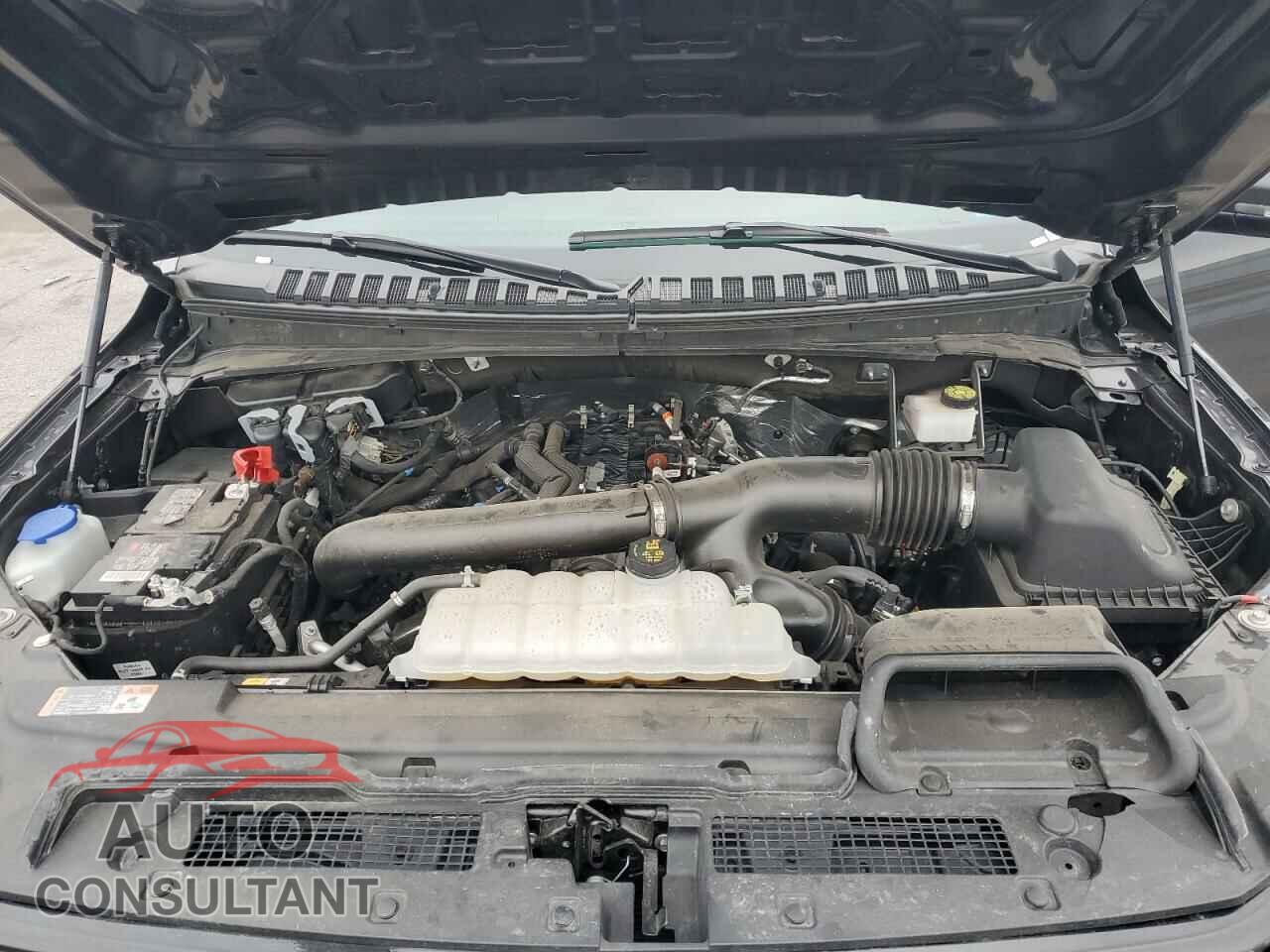 FORD EXPEDITION 2024 - 1FMJU1K82REA56356