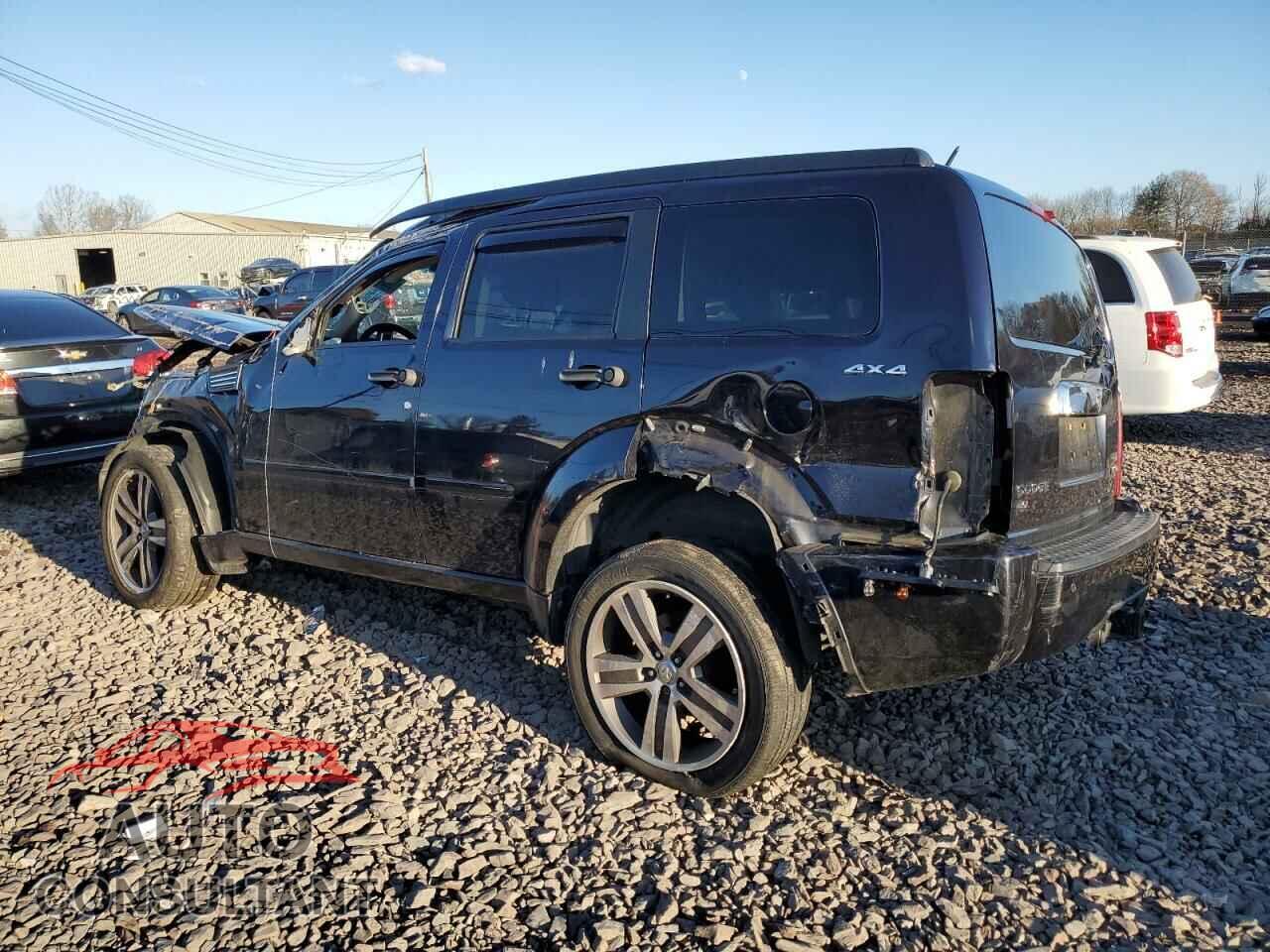 DODGE NITRO 2011 - 1D4PU7GX9BW516200