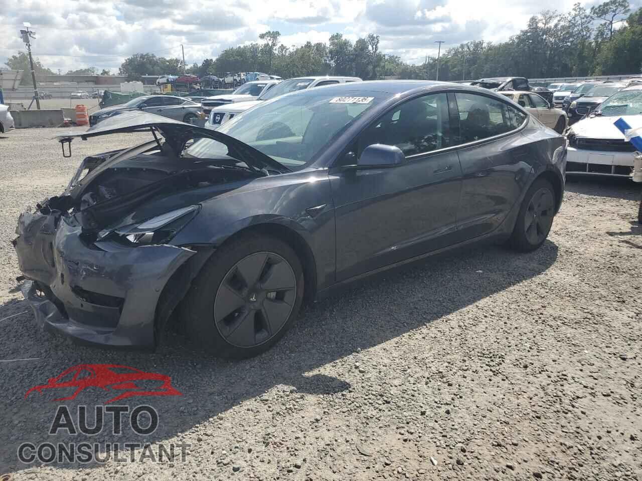 TESLA MODEL 3 2022 - 5YJ3E1EB4NF205750