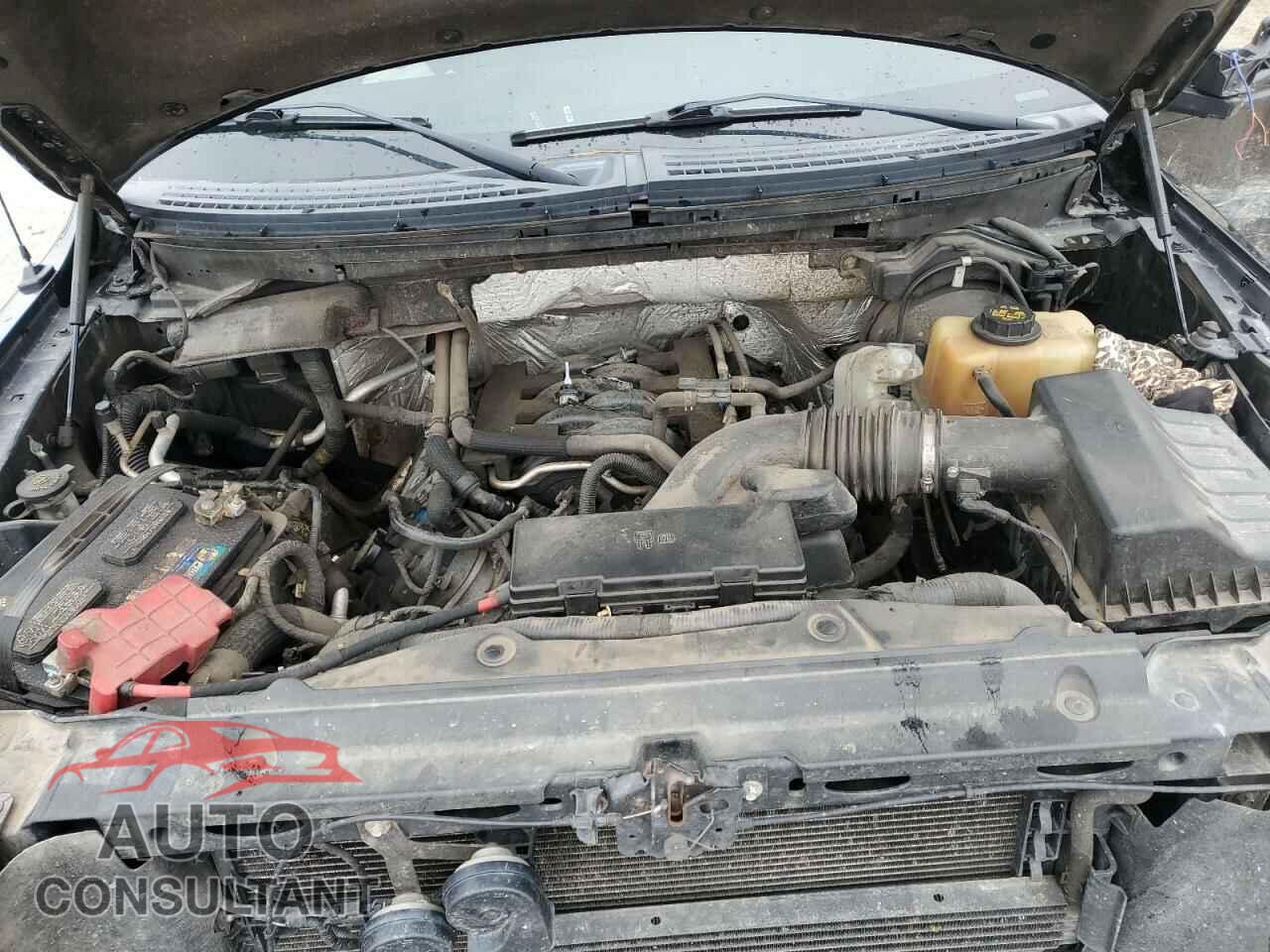 FORD F-150 2011 - 1FTFW1EF2BFA68313