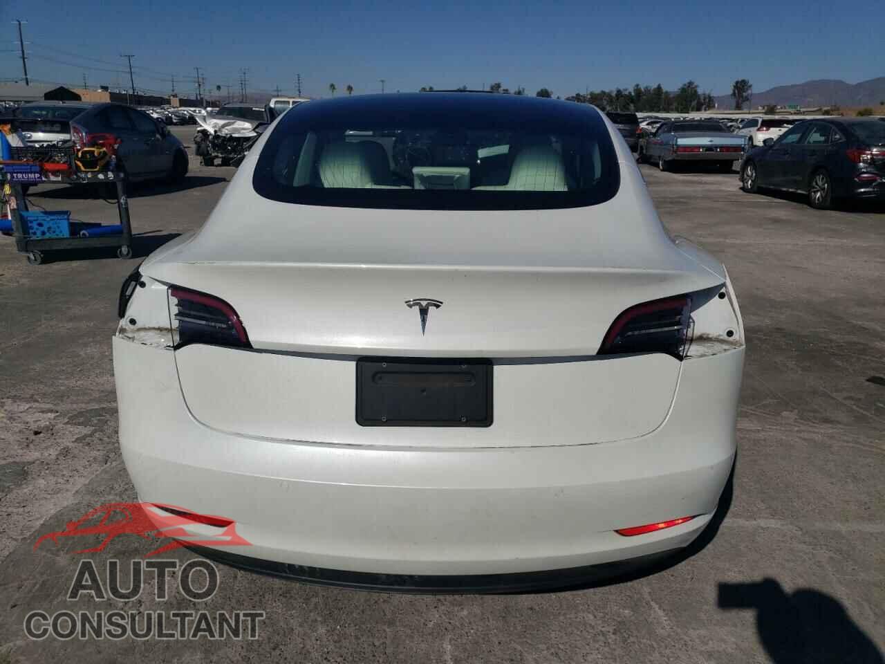 TESLA MODEL 3 2019 - 5YJ3E1EA3KF448002