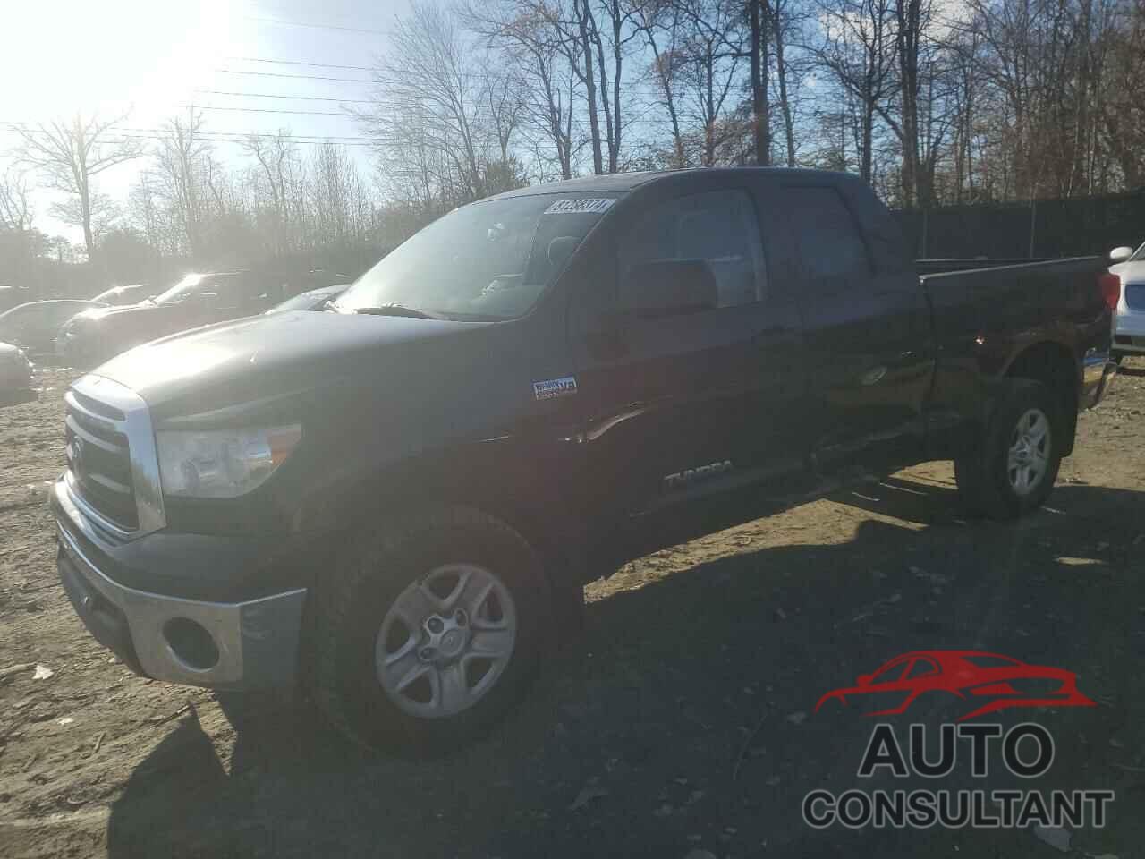 TOYOTA TUNDRA 2010 - 5TFUY5F10AX138072