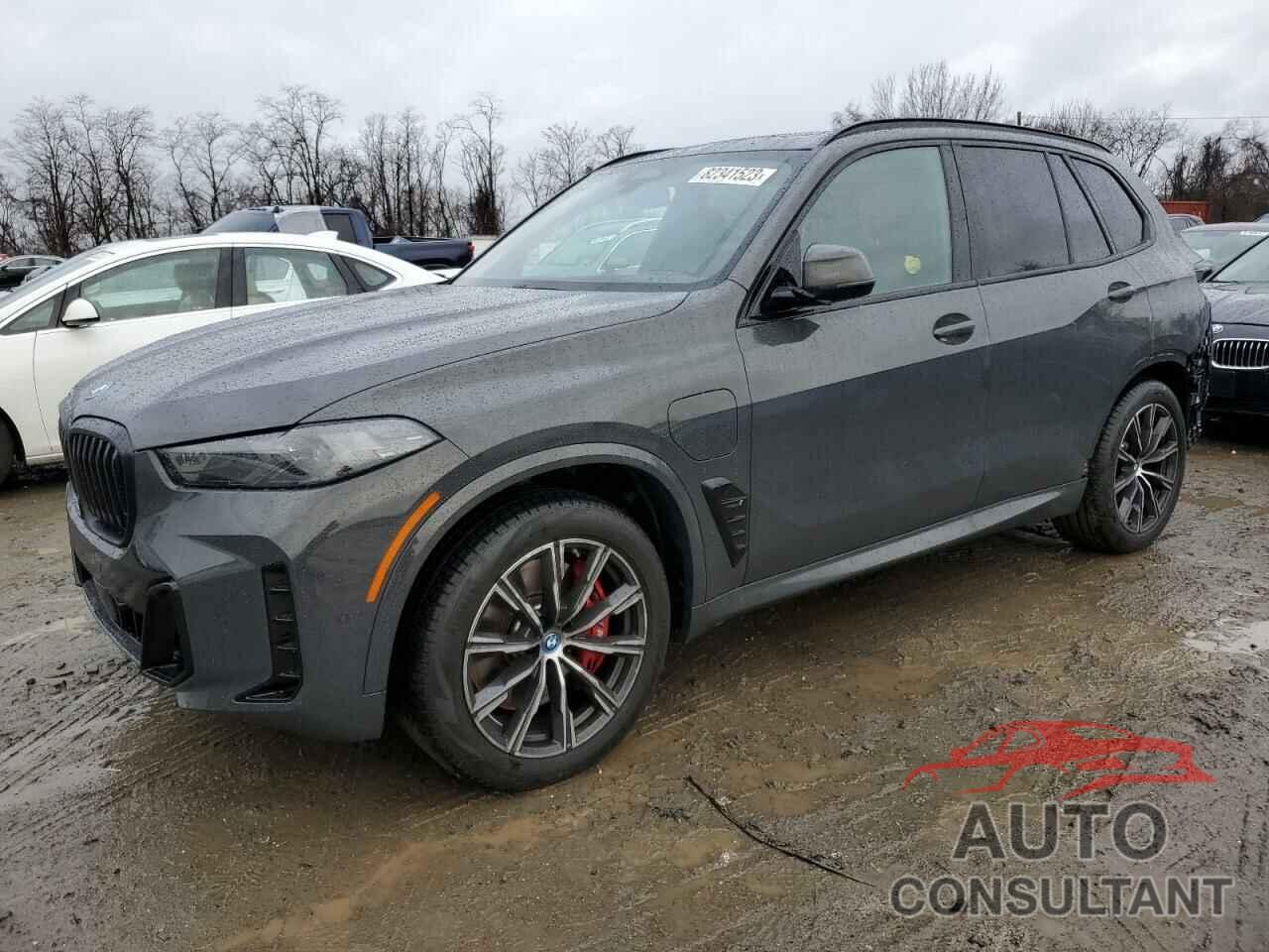 BMW X5 2024 - 5UX43EU09R9U33999