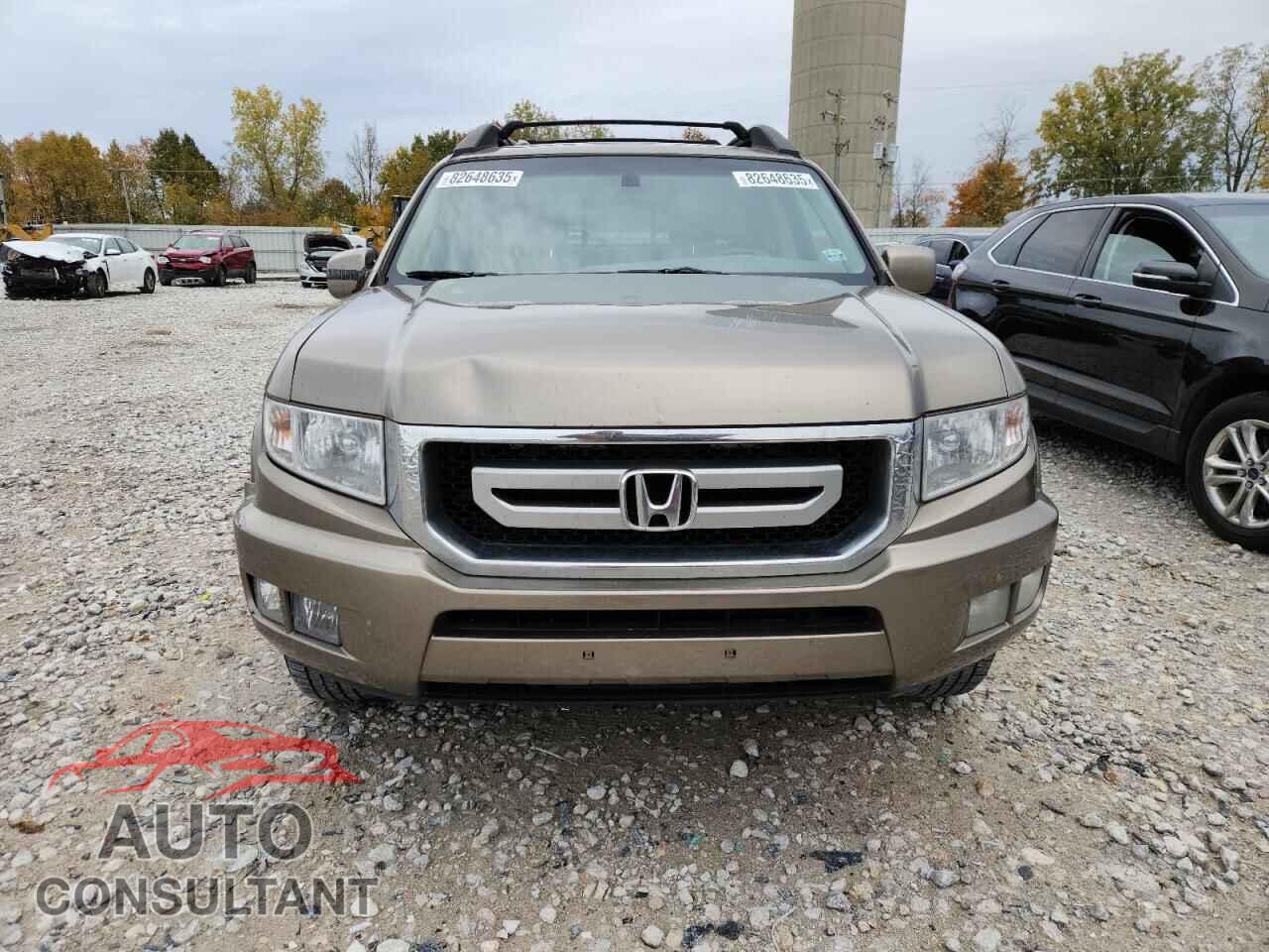 HONDA RIDGELINE 2009 - 5FPYK16519B101446