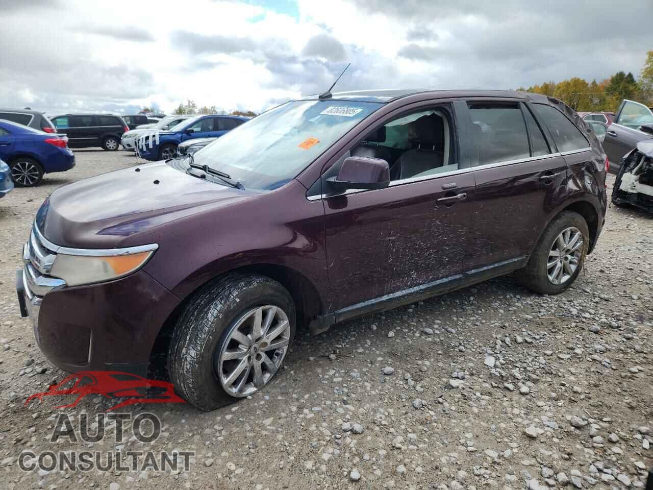 FORD EDGE 2011 - 2FMDK3KC7BBA84464