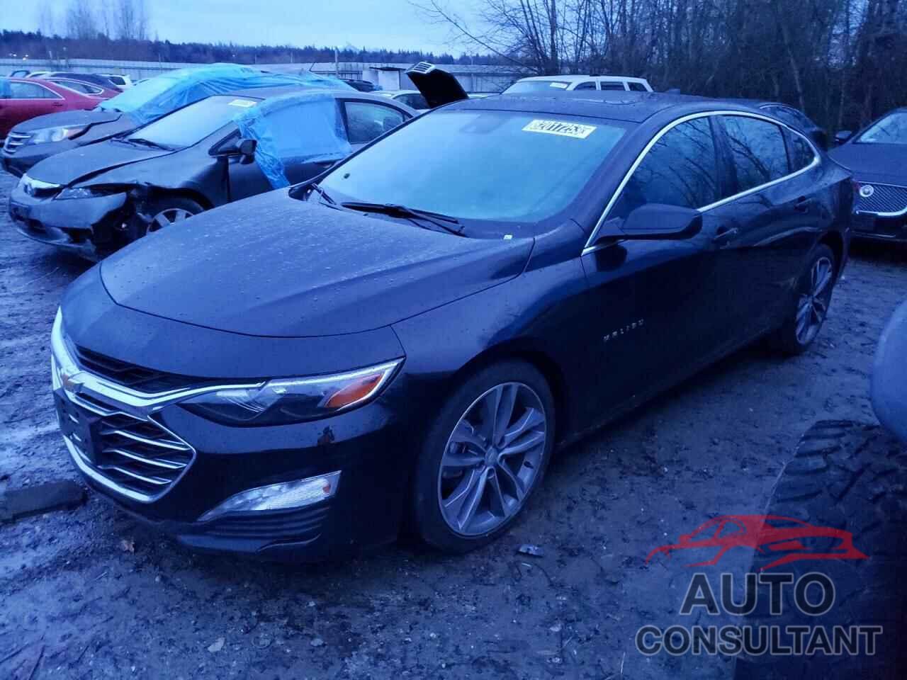 CHEVROLET MALIBU 2023 - 1G1ZD5ST5PF216474