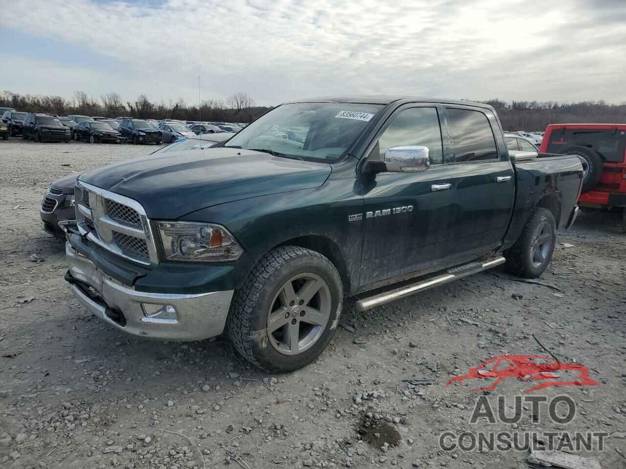 DODGE All Models 2011 - 1D7RV1CT7BS617994