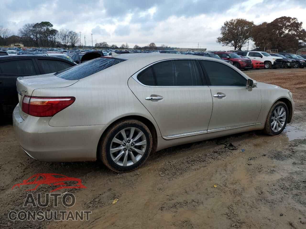 LEXUS LS460 2010 - JTHDL5EF4A5001061