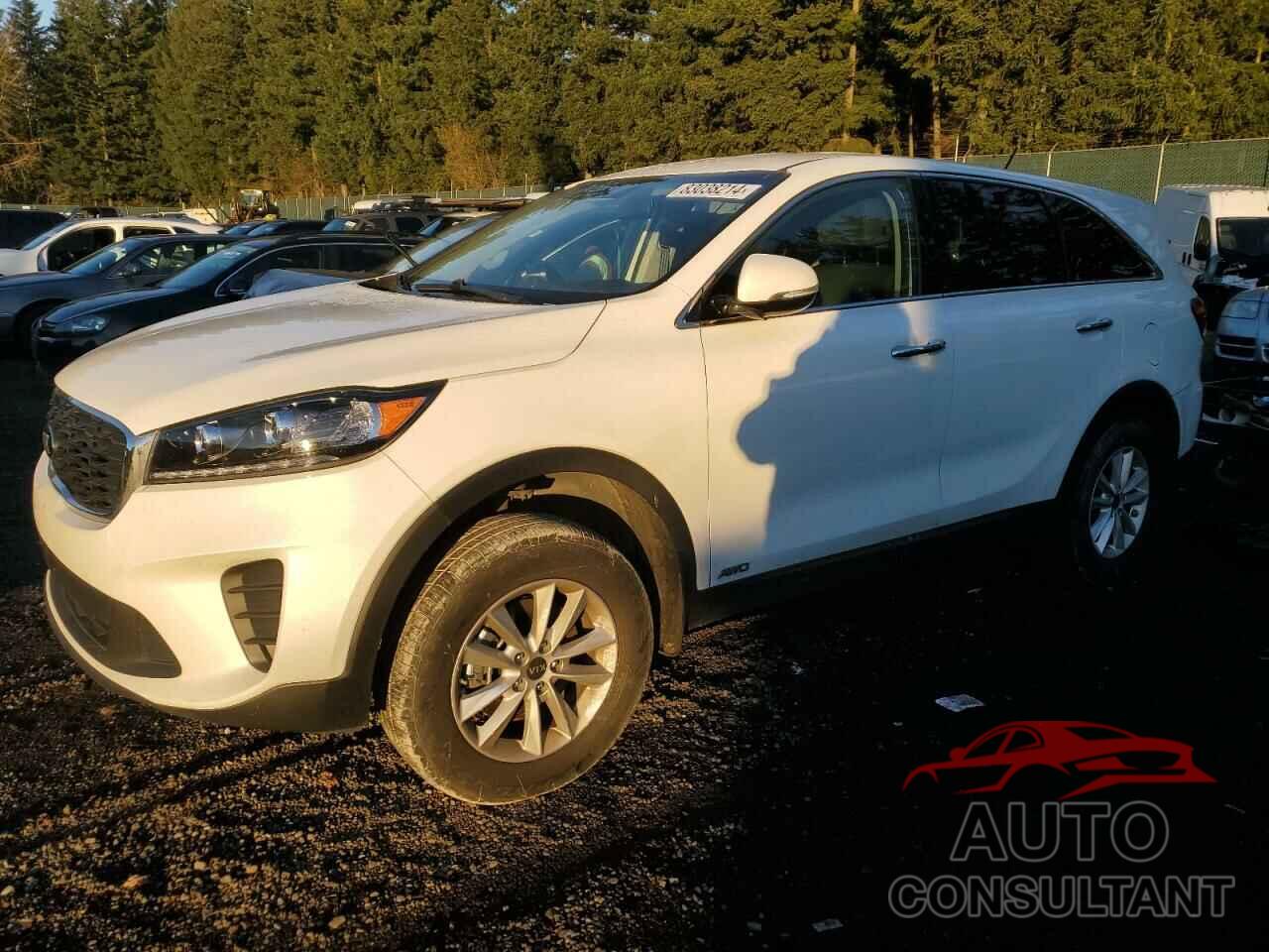 KIA SORENTO 2019 - 5XYPGDA39KG492311