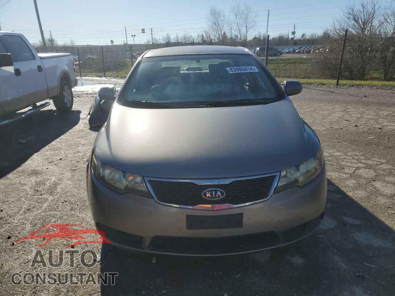 KIA FORTE 2012 - KNAFU4A26C5492916
