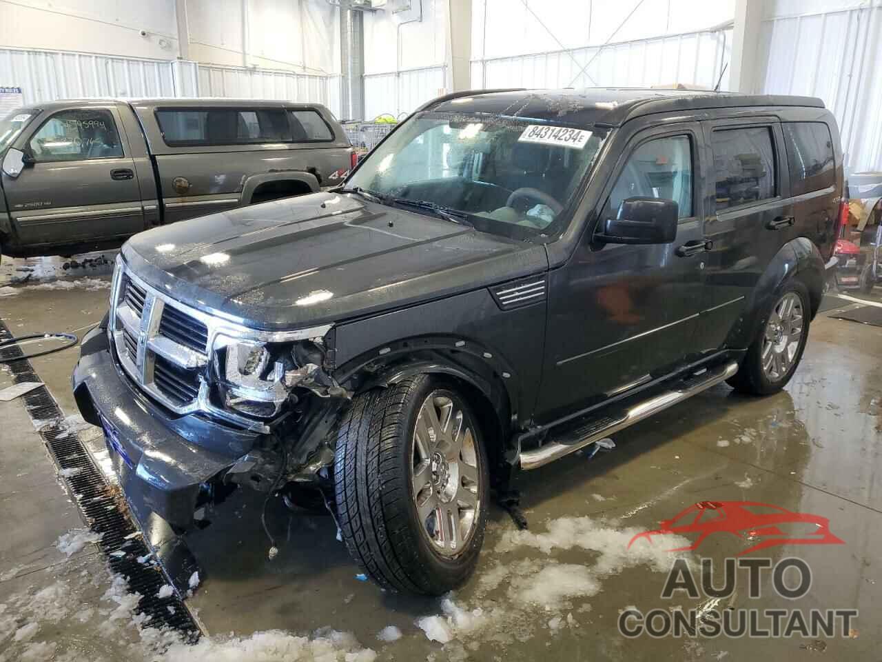 DODGE NITRO 2010 - 1D4PU2GK3AW144889