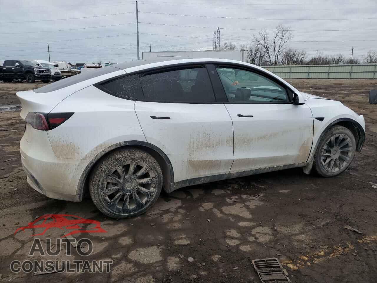 TESLA MODEL Y 2023 - 7SAYGAEE0PF607152