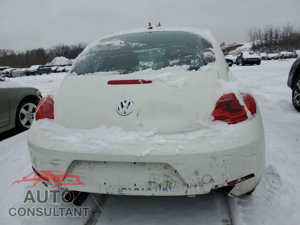 VOLKSWAGEN BEETLE 2013 - 3VWJP7AT5DM601843