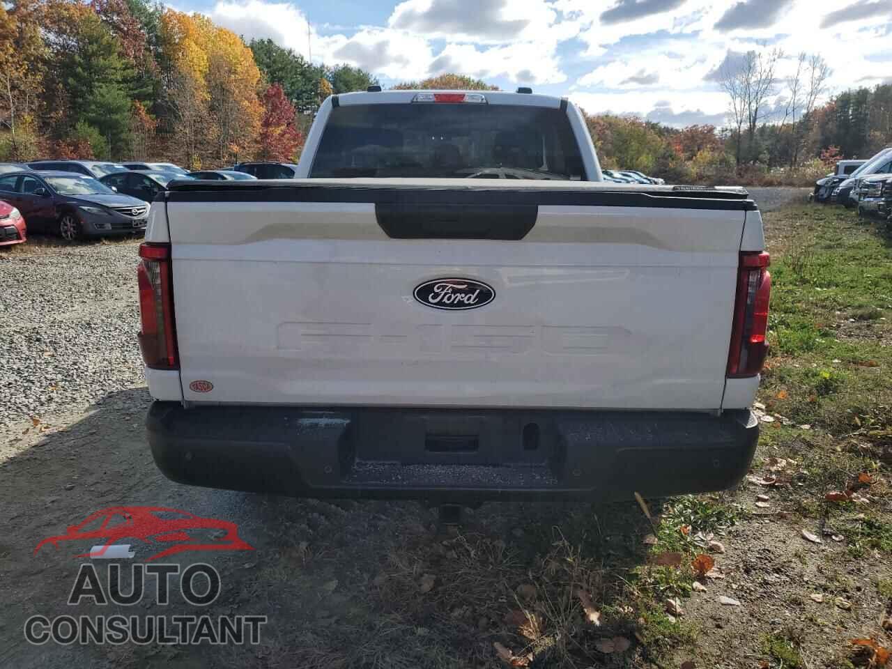 FORD F150 2024 - 1FTEX1LP7RKF25817