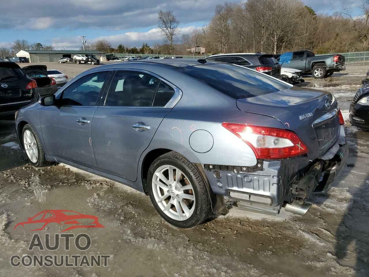 NISSAN MAXIMA 2011 - 1N4AA5AP0BC813100