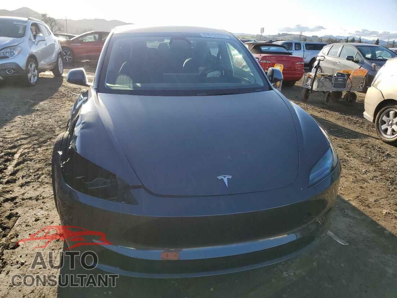 TESLA MODEL 3 2025 - 5YJ3E1EA3SF919453