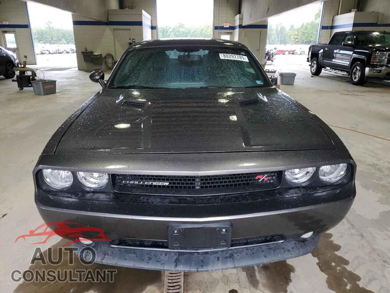 DODGE CHALLENGER 2013 - 2C3CDYBTXDH667994
