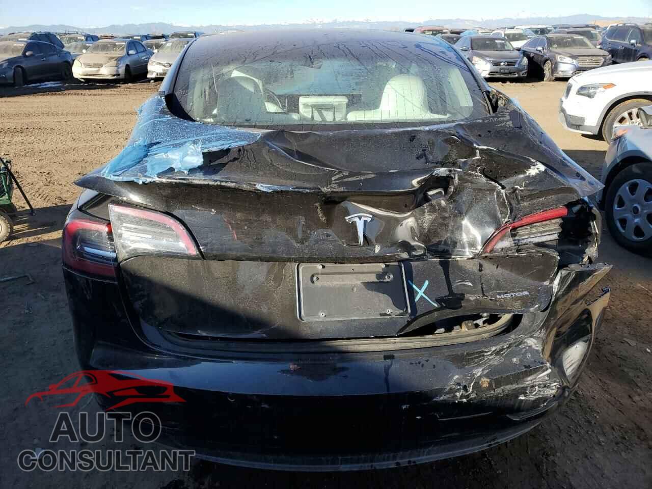 TESLA MODEL 3 2019 - 5YJ3E1EB2KF195683