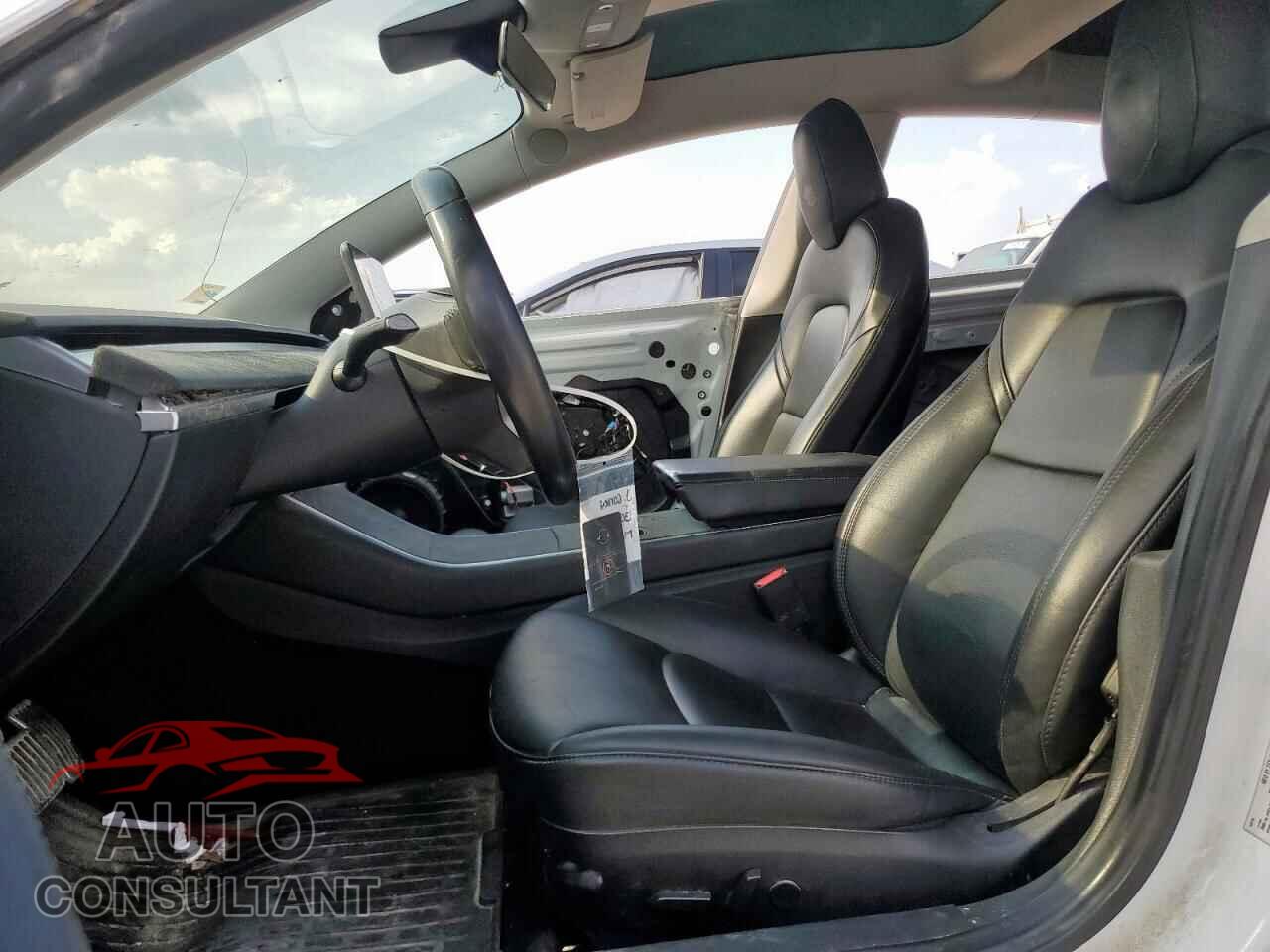 TESLA MODEL 3 2019 - 5YJ3E1EA3KF300125