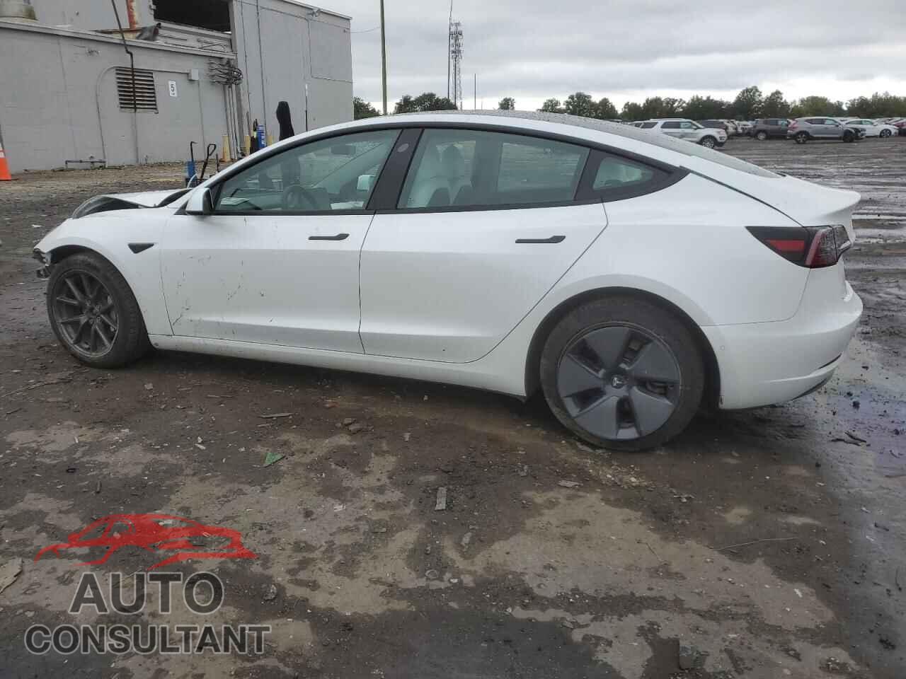 TESLA MODEL 3 2021 - 5YJ3E1EB0MF013336