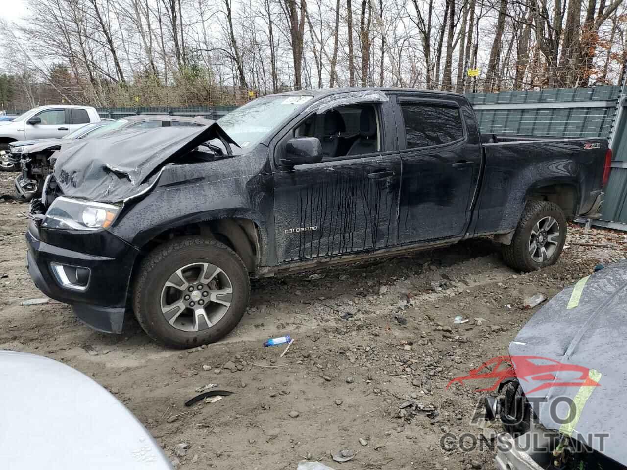 CHEVROLET COLORADO 2015 - 1GCGTCE31F1242101