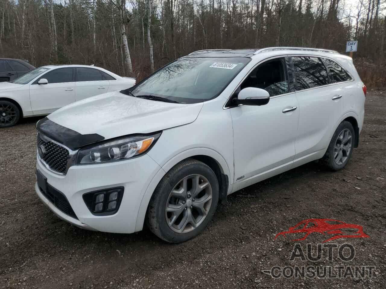 KIA SORENTO 2016 - 5XYPKDA53GG070462