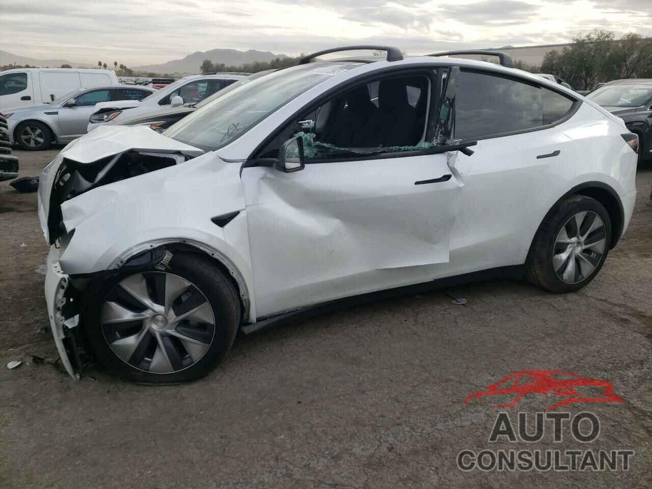 TESLA MODEL Y 2021 - 5YJYGDEE4MF079920