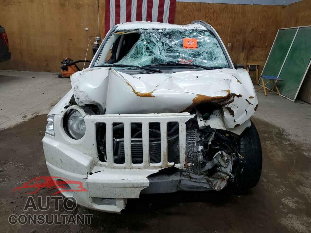 JEEP COMPASS 2009 - 1J8FF47B19D137339