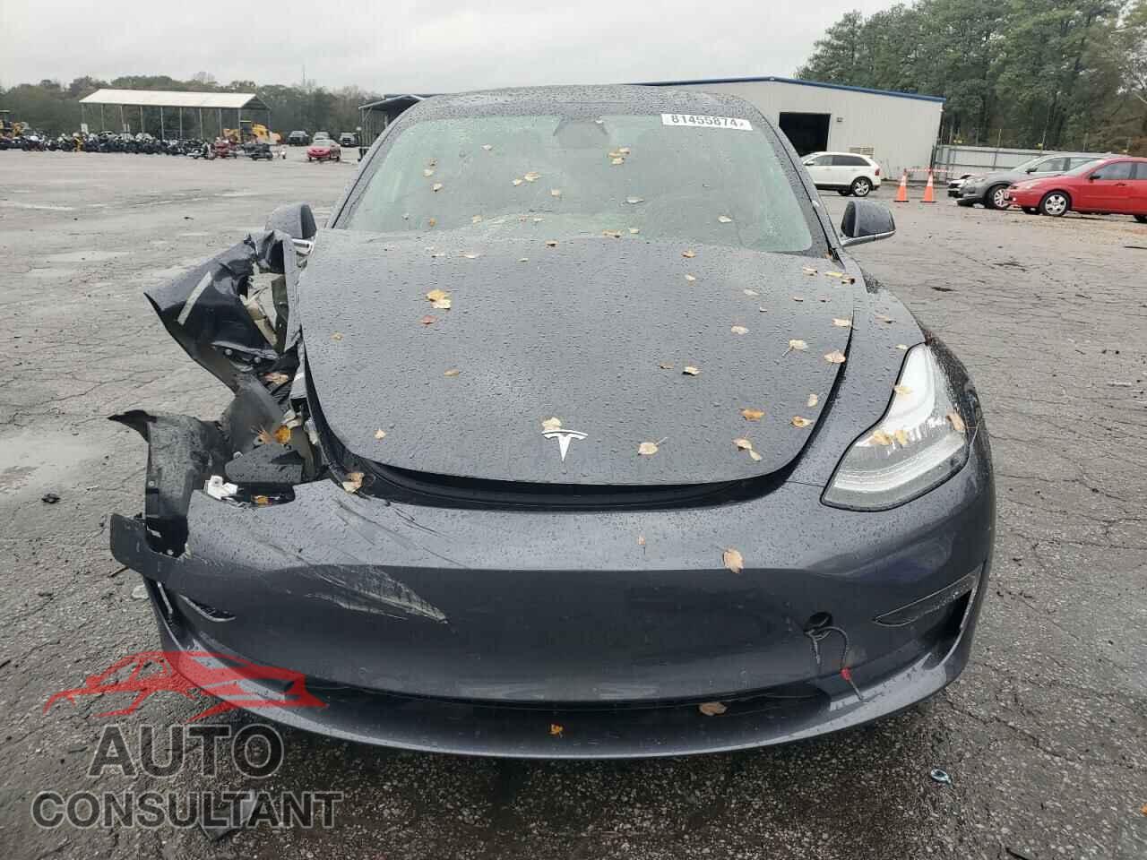 TESLA MODEL 3 2019 - 5YJ3E1EB0KF437015