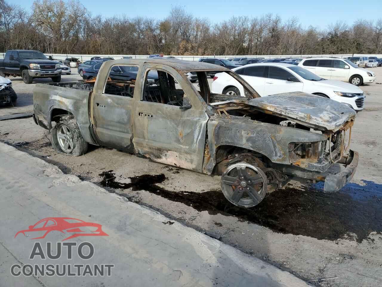 DODGE DAKOTA 2010 - 1D7CE5GP2AS100806