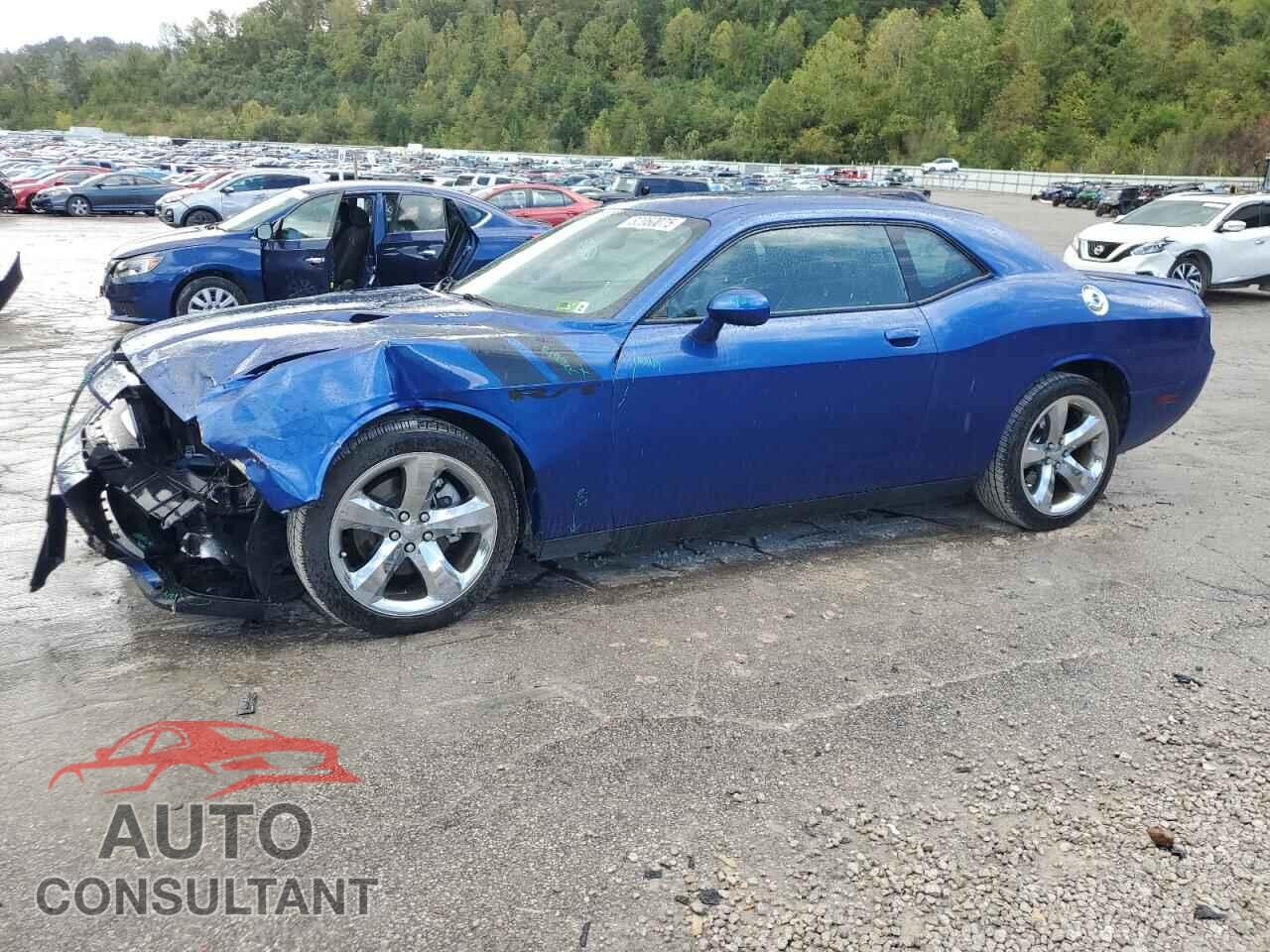 DODGE CHALLENGER 2012 - 2C3CDYBT5CH281059