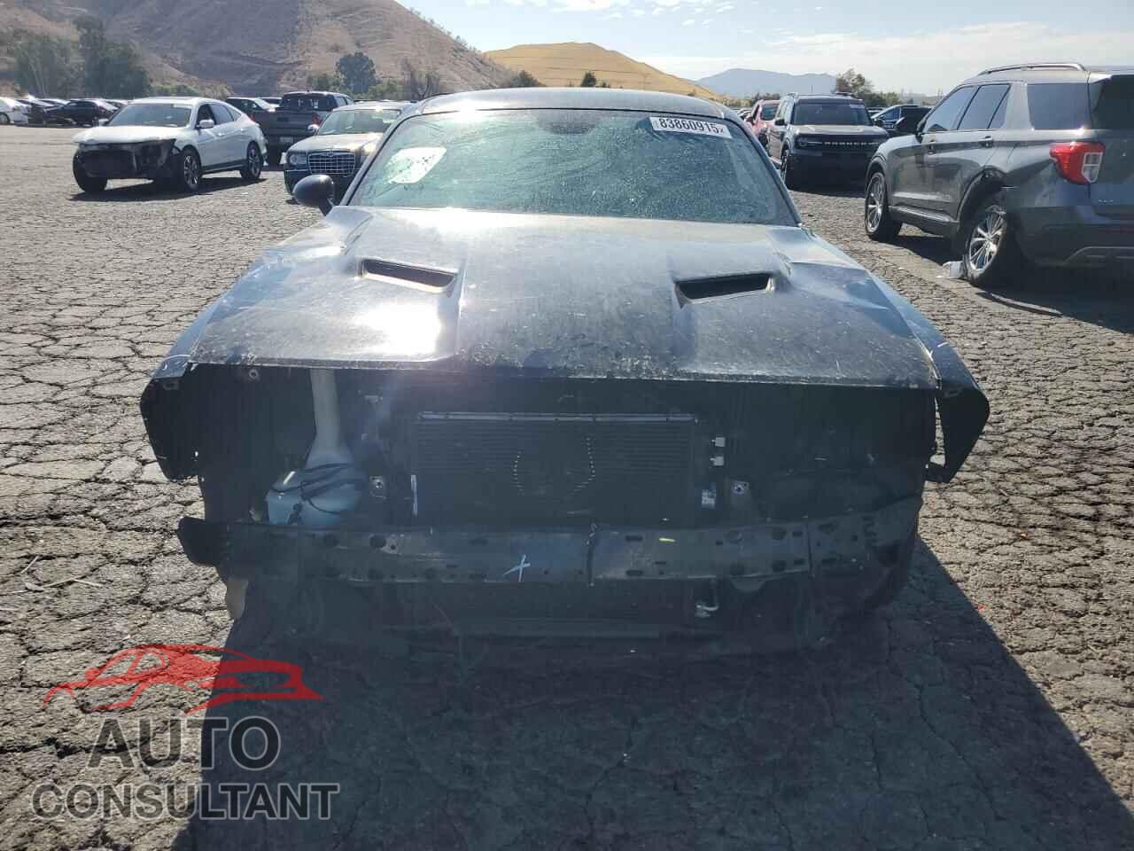 DODGE CHALLENGER 2019 - 2C3CDZAG2KH669942