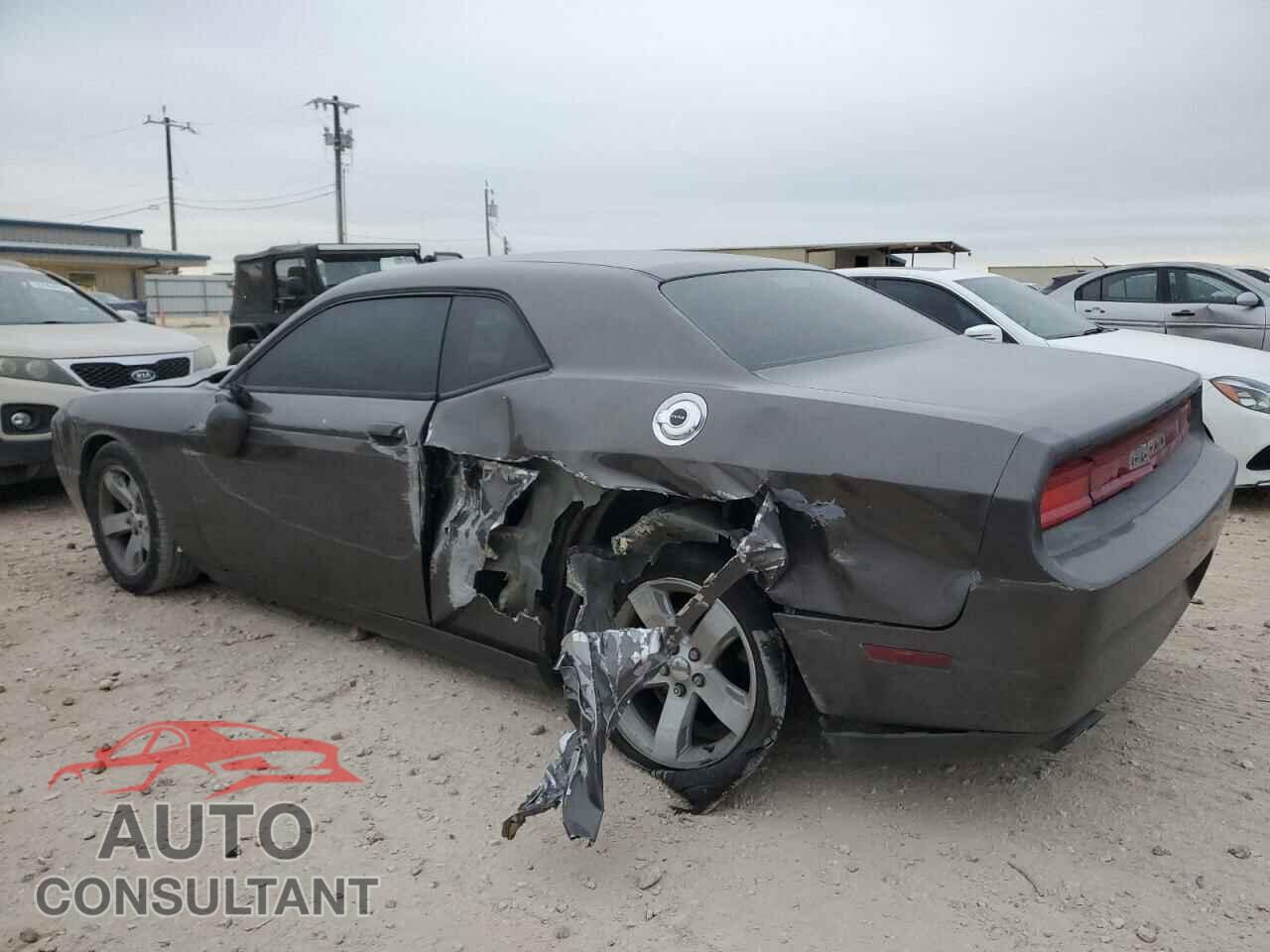 DODGE CHALLENGER 2014 - 2C3CDYAG2EH258510