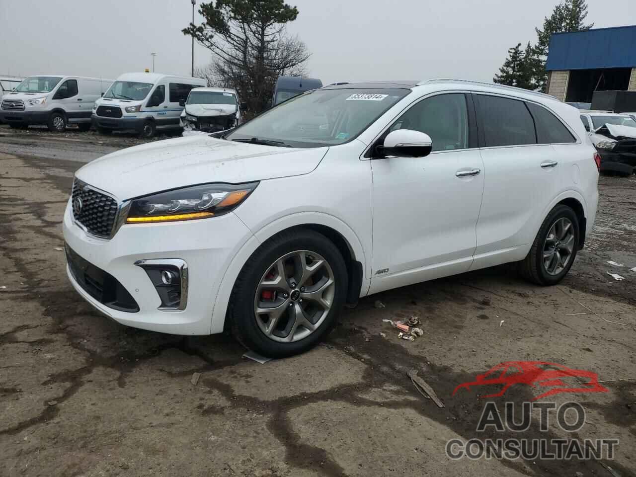 KIA SORENTO 2019 - 5XYPKDA59KG566097