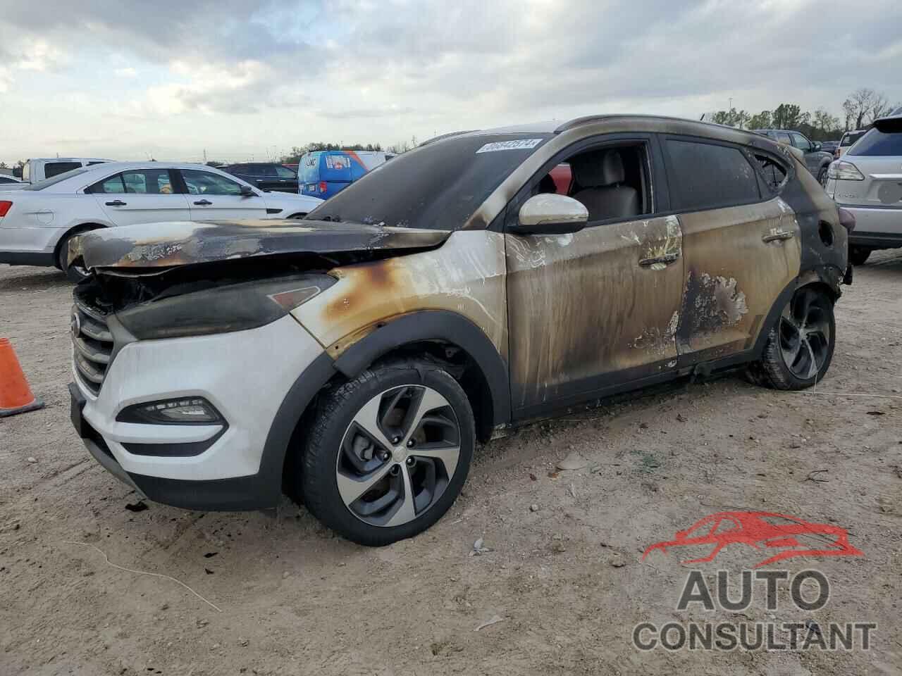 HYUNDAI TUCSON 2017 - KM8J33A20HU488508