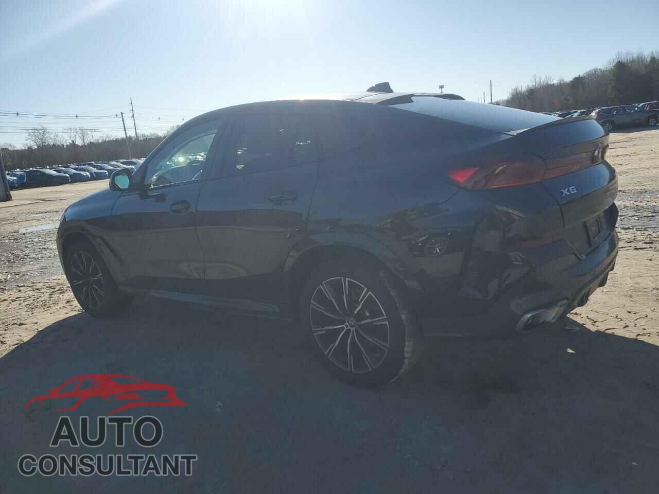 BMW X6 2023 - 5UXCY6C04P9N63836