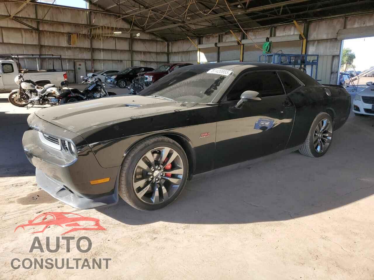 DODGE CHALLENGER 2013 - 2C3CDYCJ7DH647893