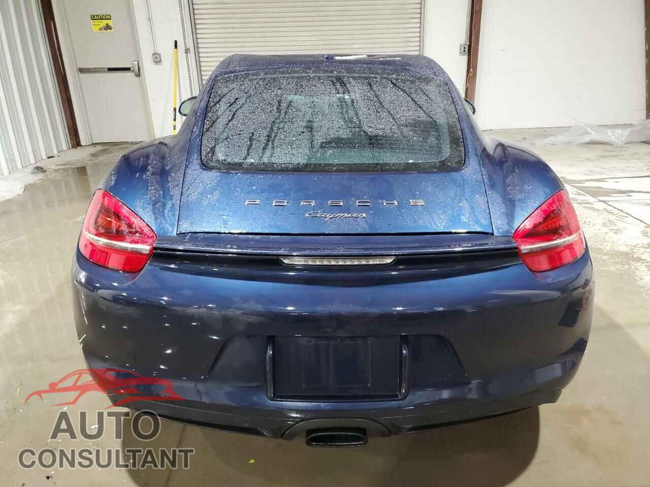 PORSCHE CAYMAN 2015 - WP0AA2A89FK163213