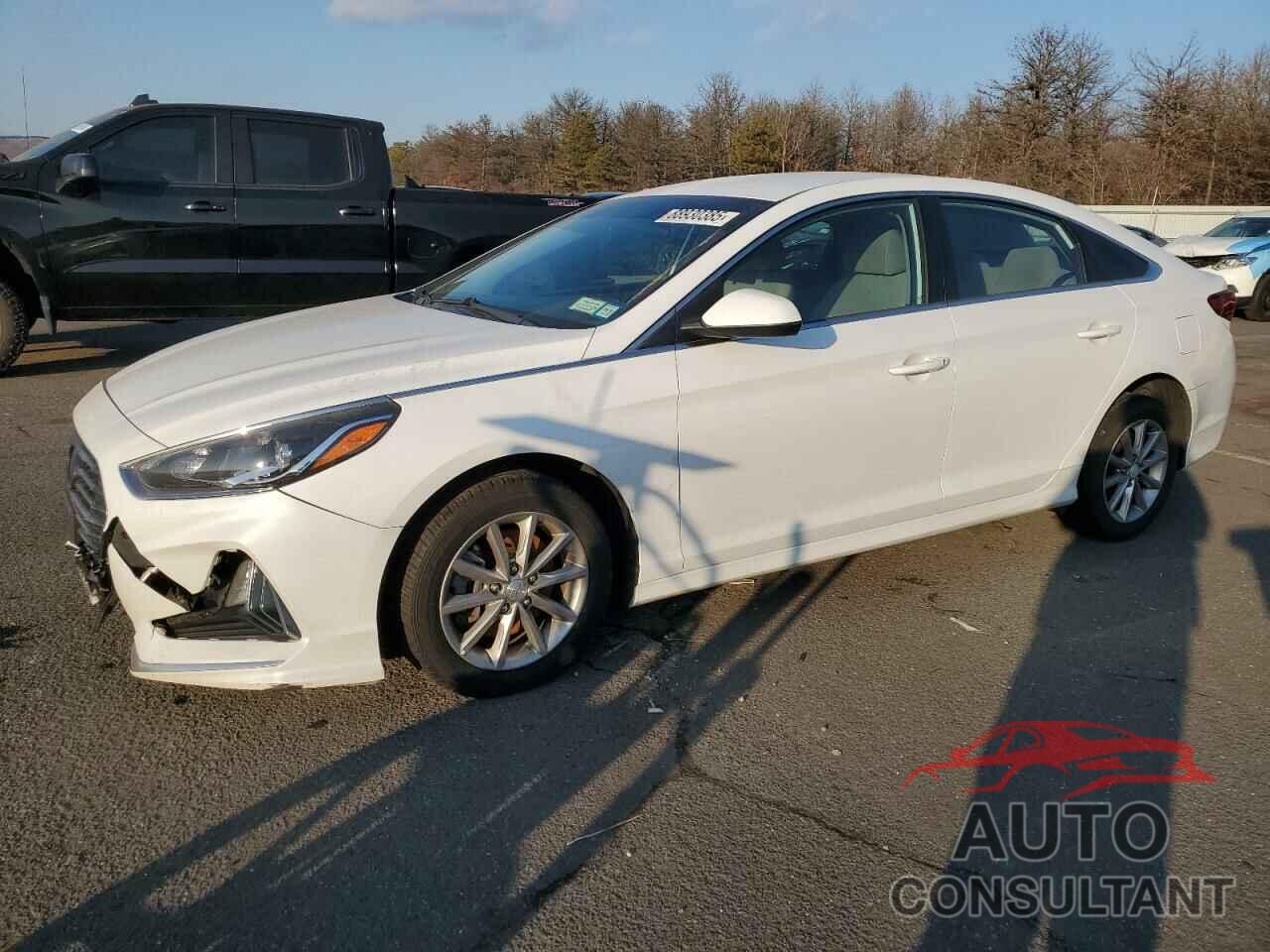 HYUNDAI SONATA 2019 - 5NPE24AF9KH744664