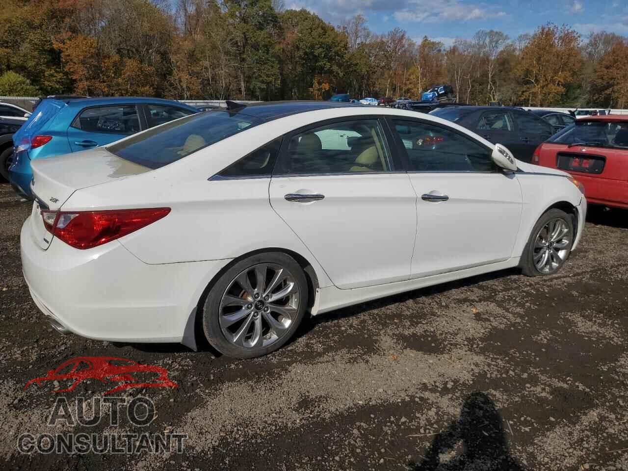 HYUNDAI SONATA 2013 - 5NPEC4AB3DH565727