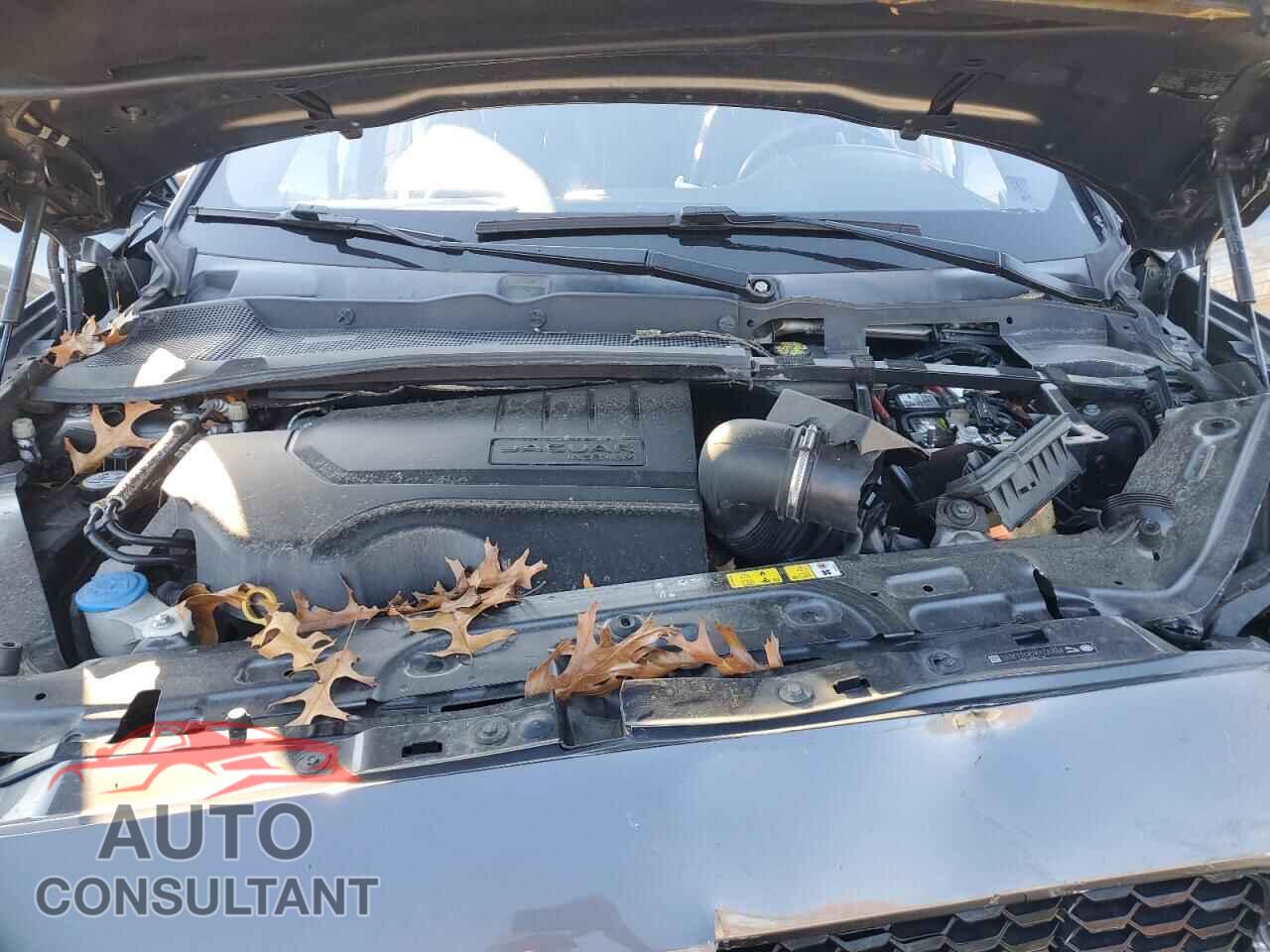 JAGUAR ETYPE 2019 - SADFT2GX2K1Z35666