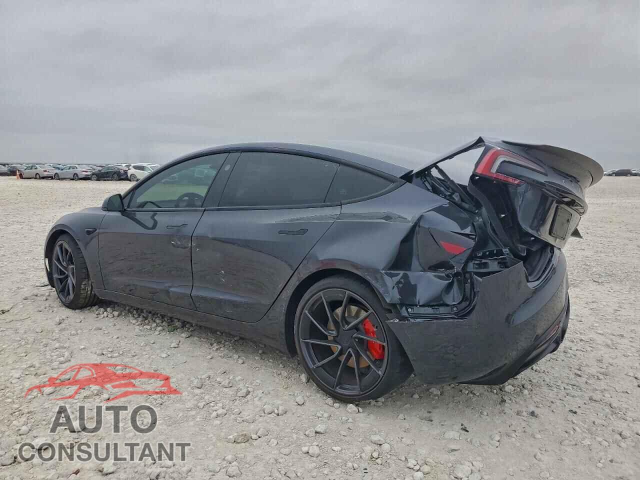 TESLA MODEL 3 2024 - 5YJ3E1ET8RF833650