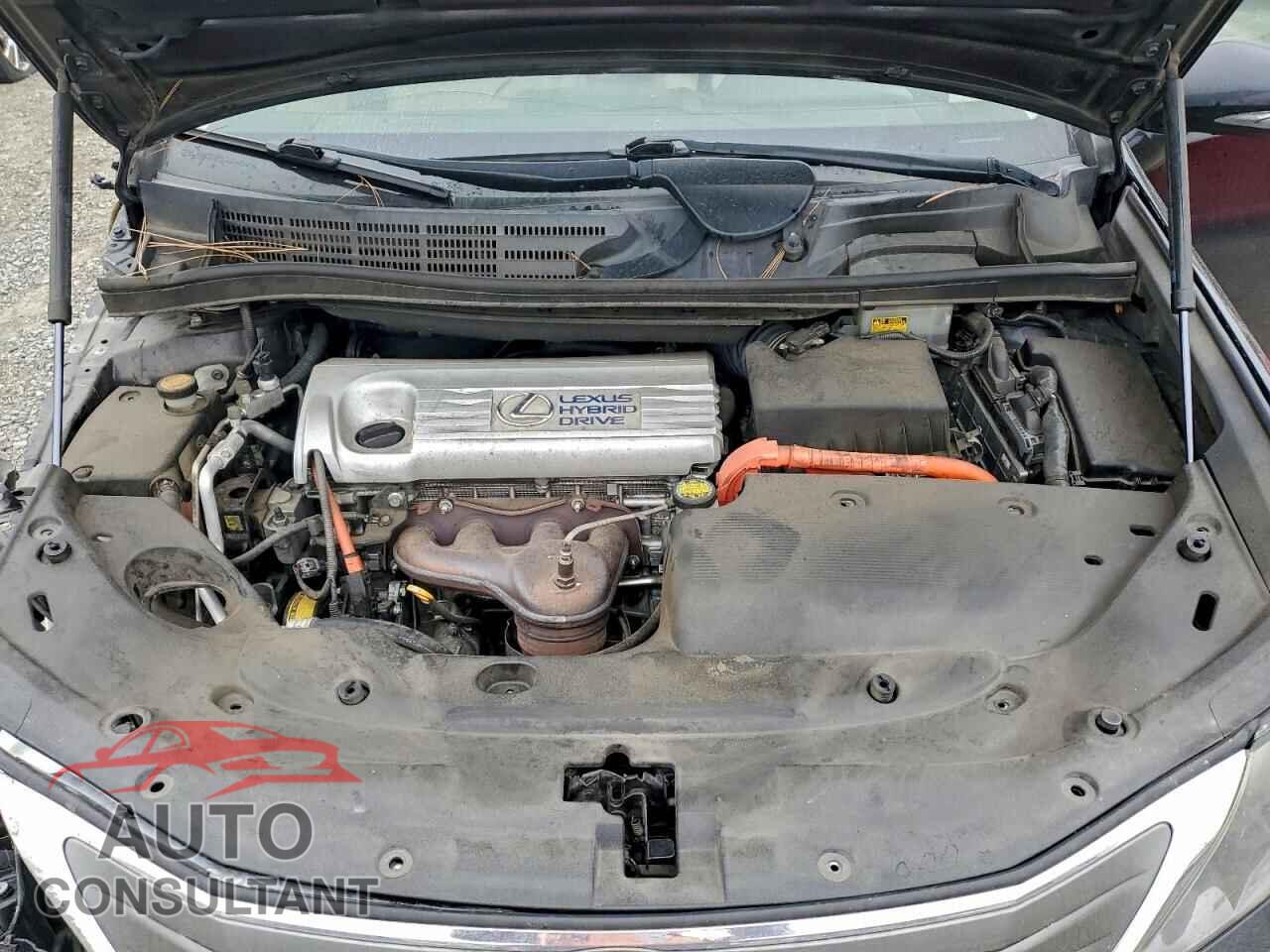 LEXUS HS 2010 - JTHBB1BA2A2021015