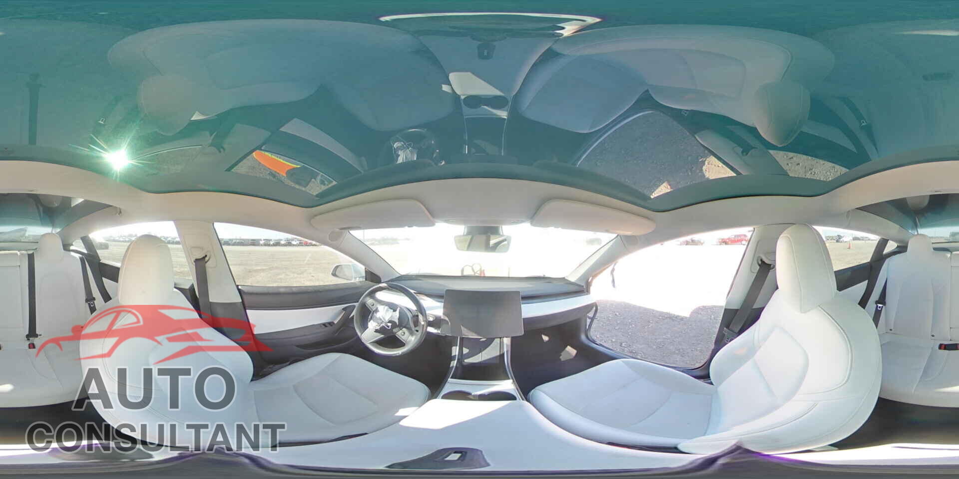 TESLA MODEL 3 2019 - 5YJ3E1EA3KF313019