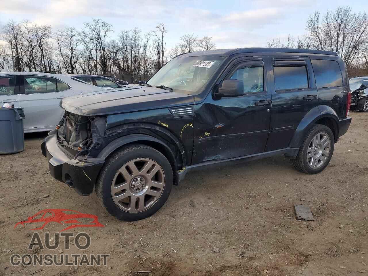 DODGE NITRO 2010 - 1D4PU4GK6AW170981