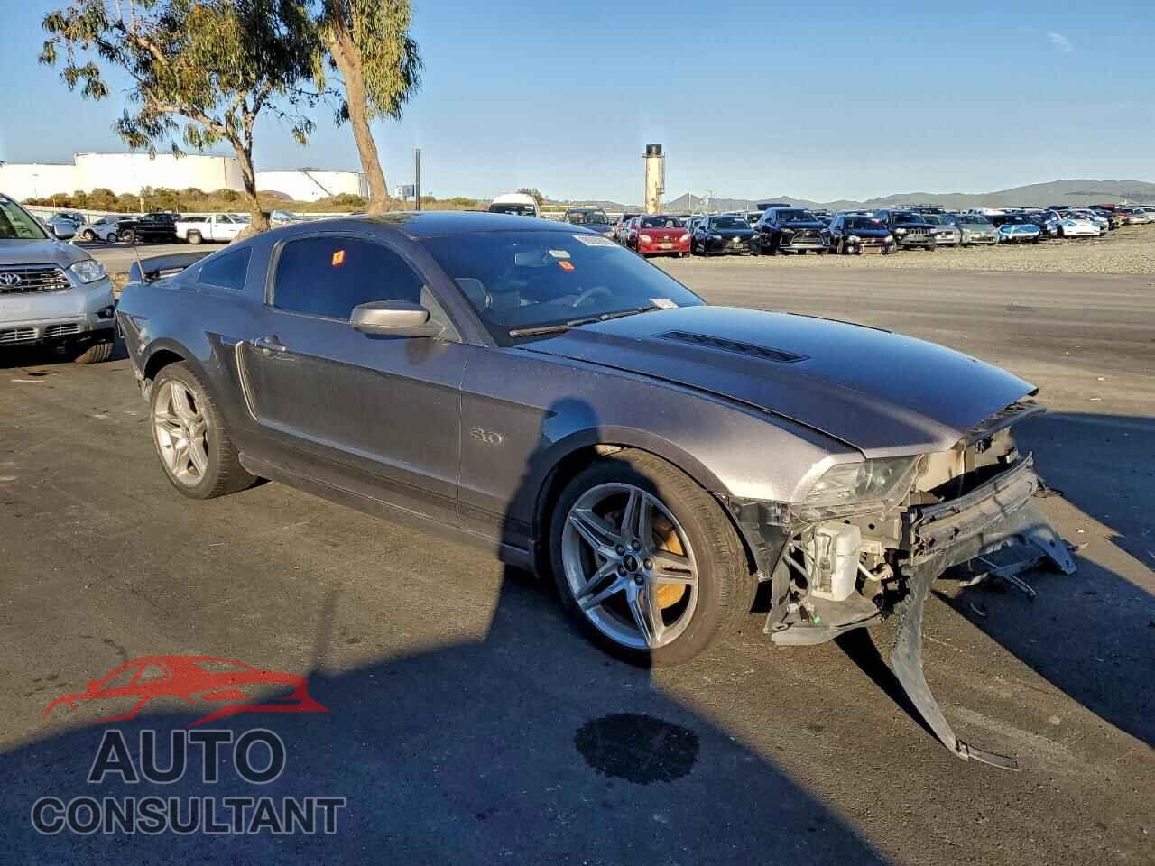 FORD MUSTANG 2014 - 1ZVBP8CF1E5208043