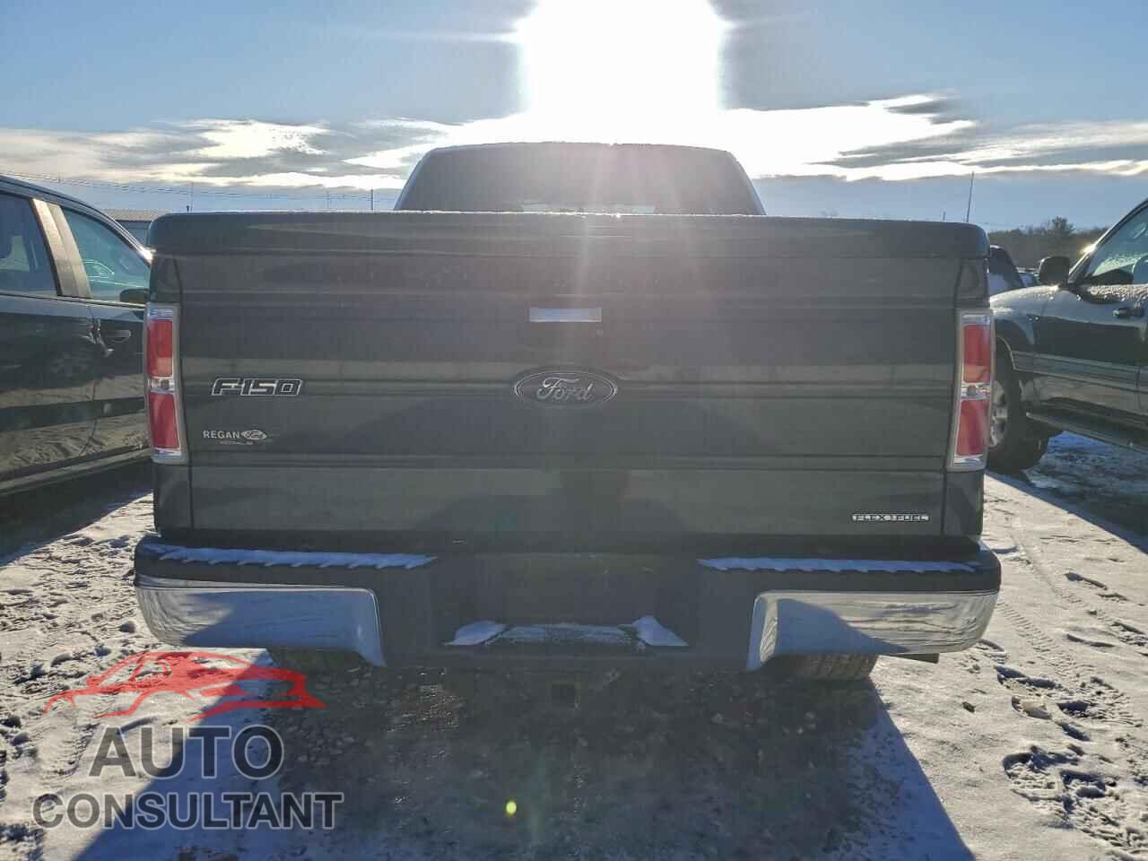 FORD F-150 2013 - 1FTFX1EF6DFA70937
