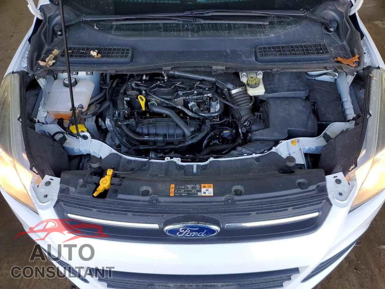 FORD ESCAPE 2014 - 1FMCU0GX4EUD16436