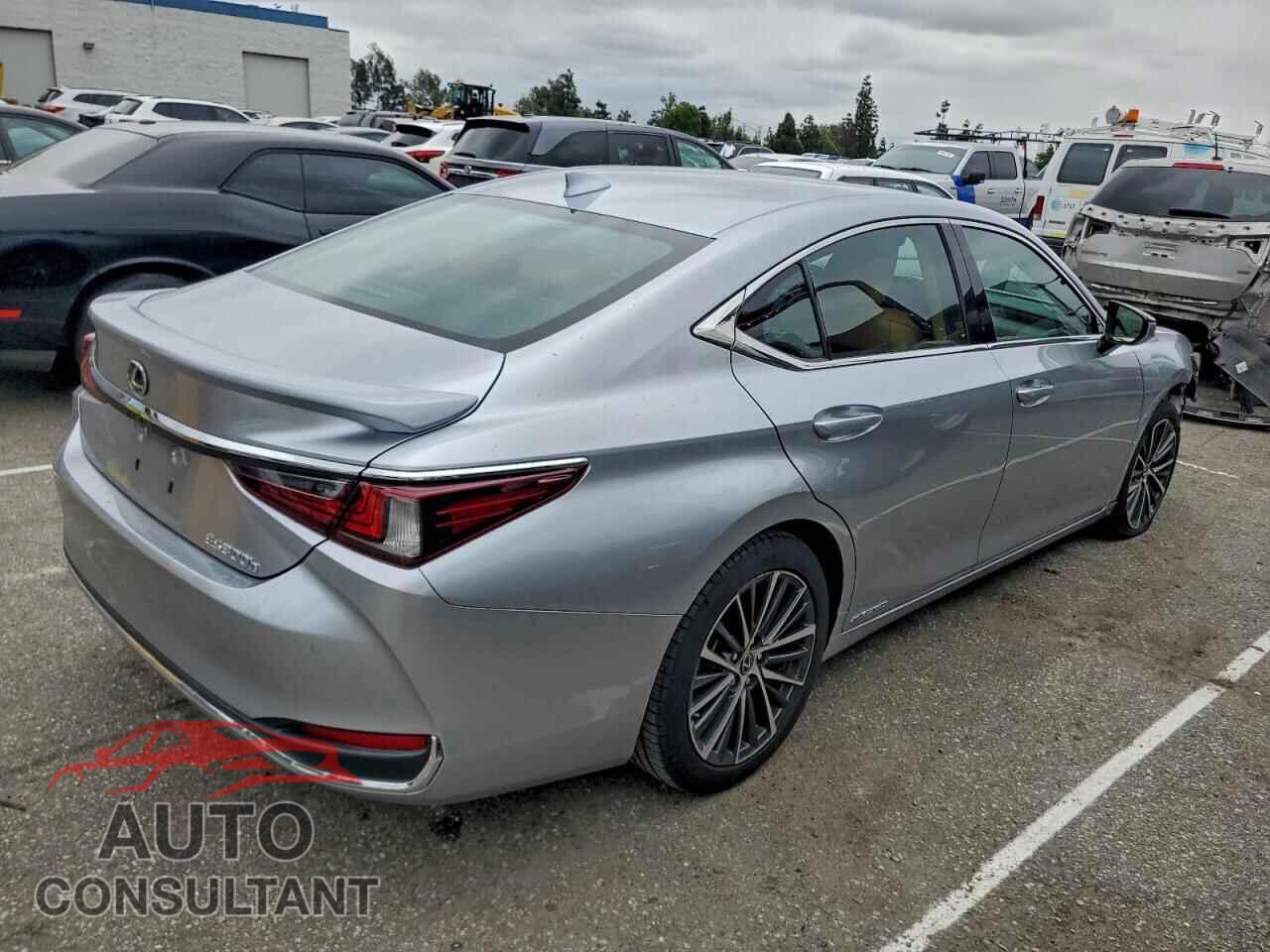 LEXUS ES300 2022 - 58ADA1C15NU014926