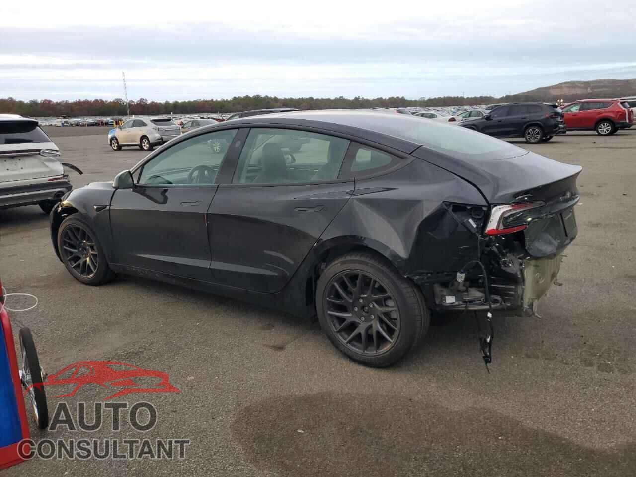 TESLA MODEL 3 2025 - 5YJ3E1EA9SF934278